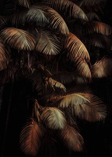 Original Fine Art Nature Photography by Antonio Schubert