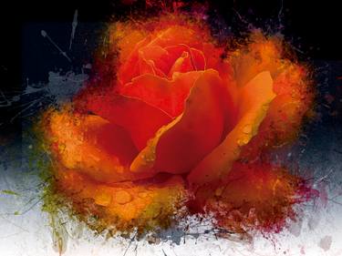 Original Expressionism Floral Digital by Javier Diaz
