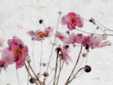 Original Figurative Floral Digital by Javier Diaz