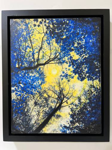 Original Contemporary Nature Mixed Media by Gina Signore