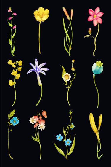 Original Impressionism Floral Digital by Tony Rubino