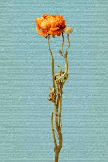 Original Pop Art Abstract Digital by Tony Rubino