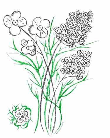 Original Fine Art Garden Drawings by Dorota Anna Undrych