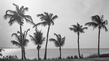 Original Fine Art Beach Photography by Jin-Woo Prensena